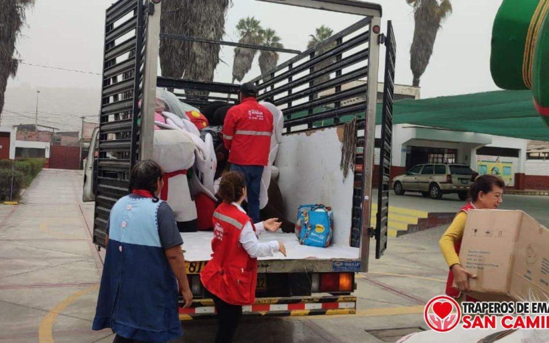 ONG para donar: Guía completa para elegir la mejor opción